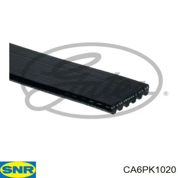 CA6PK1020 SNR correa trapezoidal