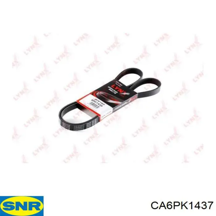 CA6PK1437 SNR correa trapezoidal