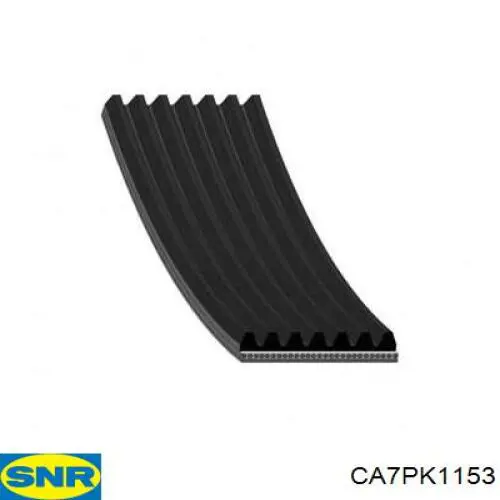 CA7PK1153 SNR correa trapezoidal