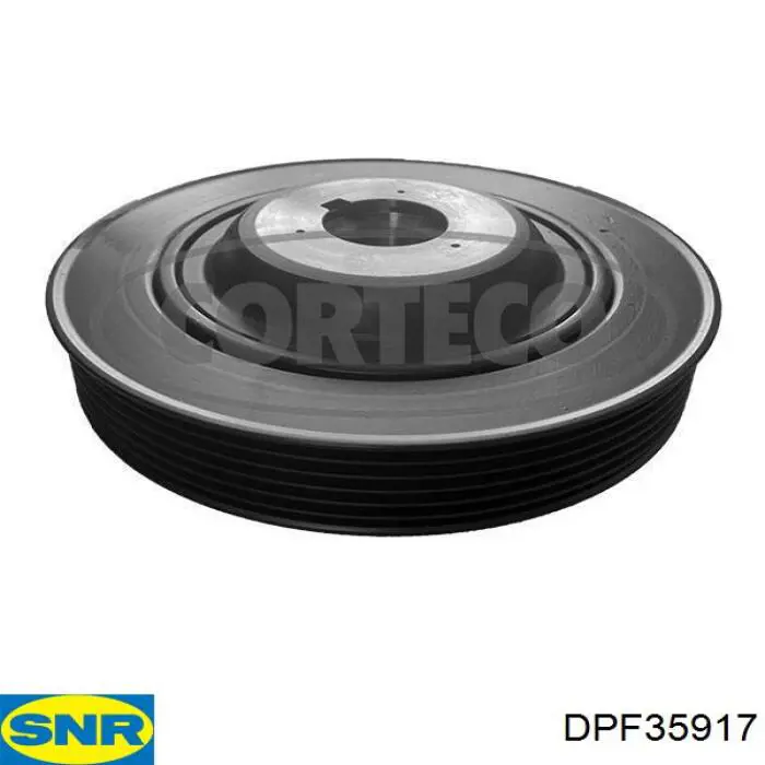 DPF35917 SNR polea, cigüeñal