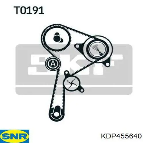 KDP455640 SNR kit correa de distribución