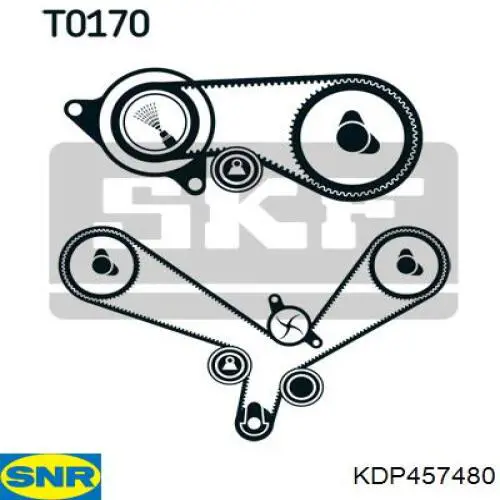 KDP457.480 SNR kit correa de distribución