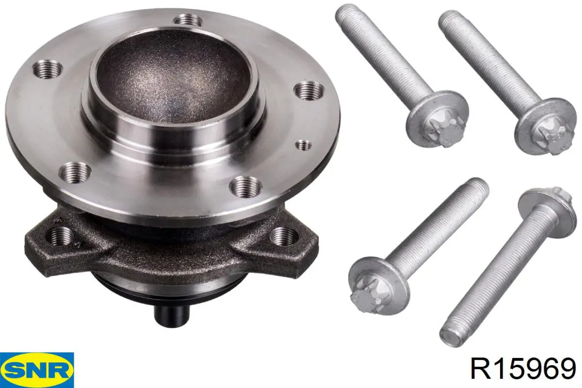 R159.69 SNR cubo de rueda trasero