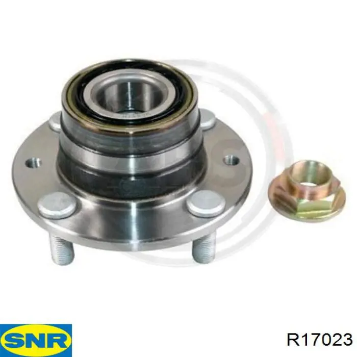 R17023 SNR cubo de rueda trasero