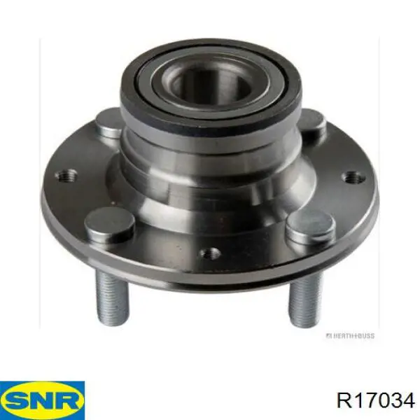 R17034 SNR cubo de rueda trasero