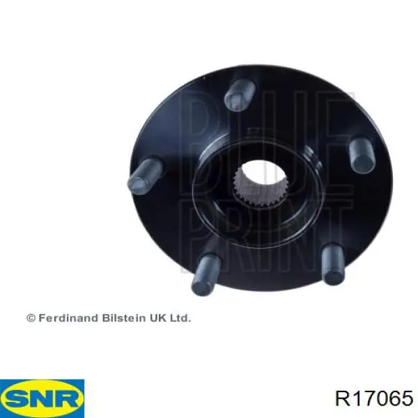 R170.65 SNR cubo de rueda trasero