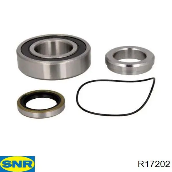 R17202 SNR cojinete de rueda trasero