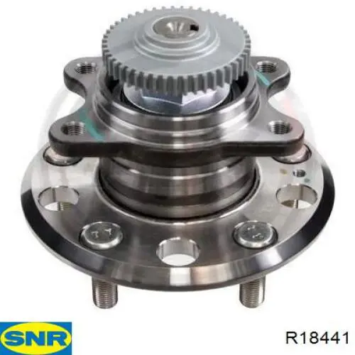 R184.41 SNR cubo de rueda trasero