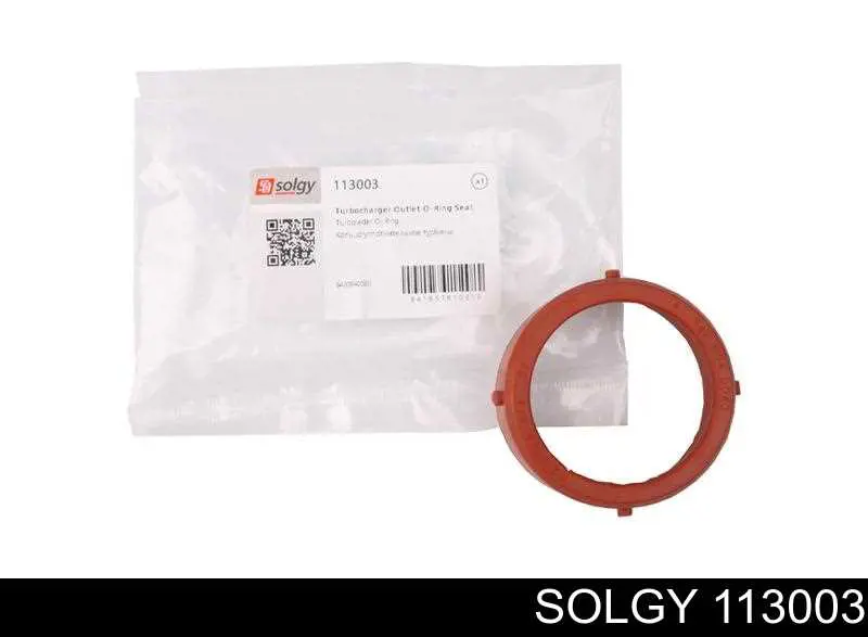 113003 Solgy junta de turbina, flexible inserto