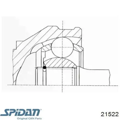 21522 GKN-Spidan junta homocinética exterior delantera