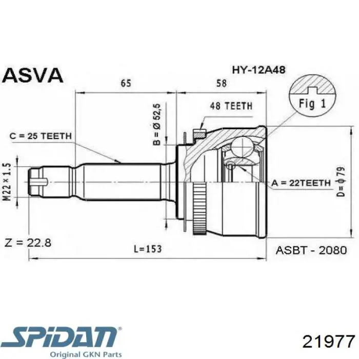21977 GKN-Spidan junta homocinética exterior delantera