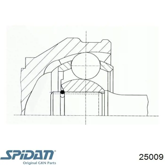 25009 GKN-Spidan junta homocinética exterior delantera