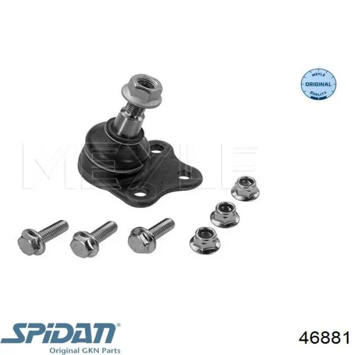 46881 GKN-Spidan rótula de suspensión inferior