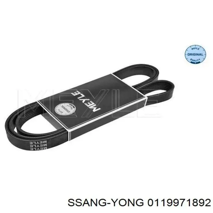 0119971892 Ssang Yong correa trapezoidal