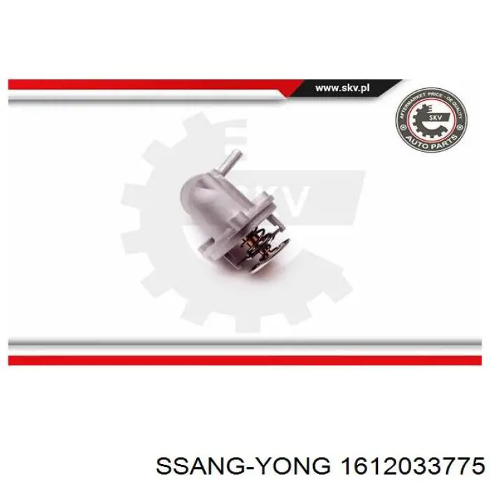 1612033775 Ssang Yong termostato, refrigerante