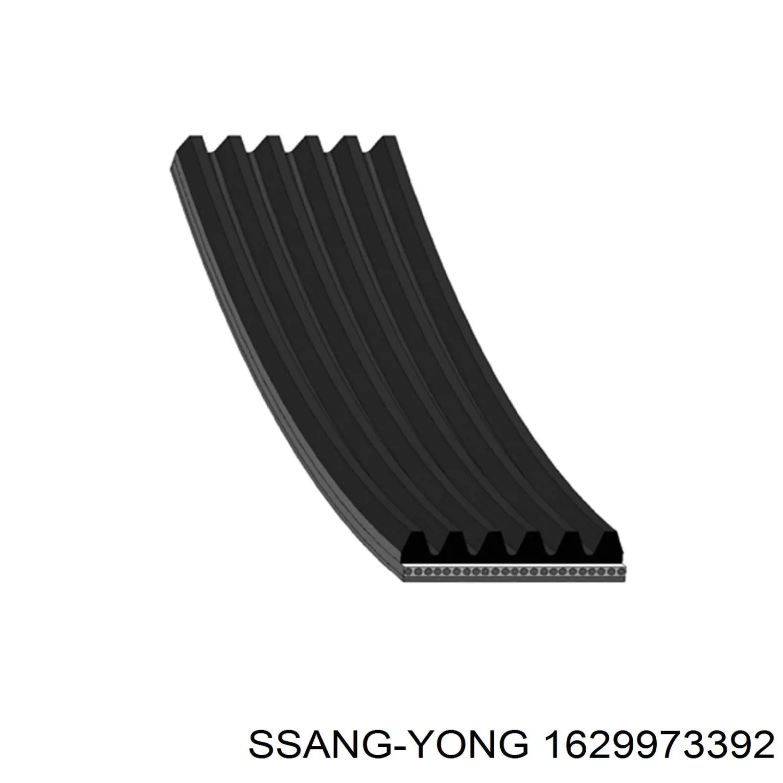 1629973392 Ssang Yong correa trapezoidal