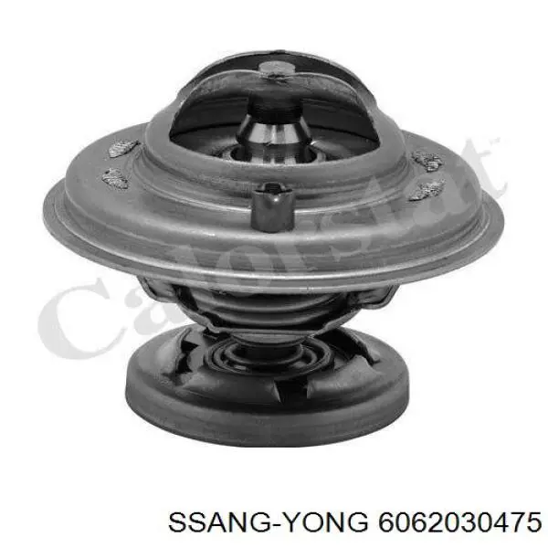 6062030475 Ssang Yong termostato, refrigerante