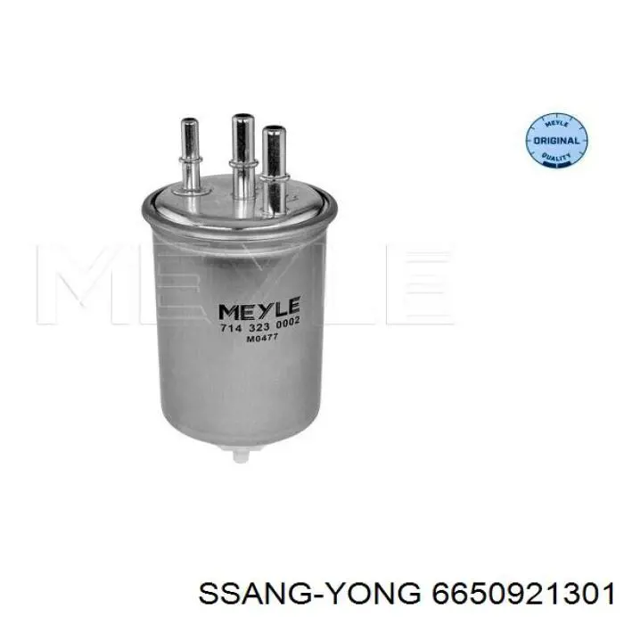 6650921301 Ssang Yong filtro combustible