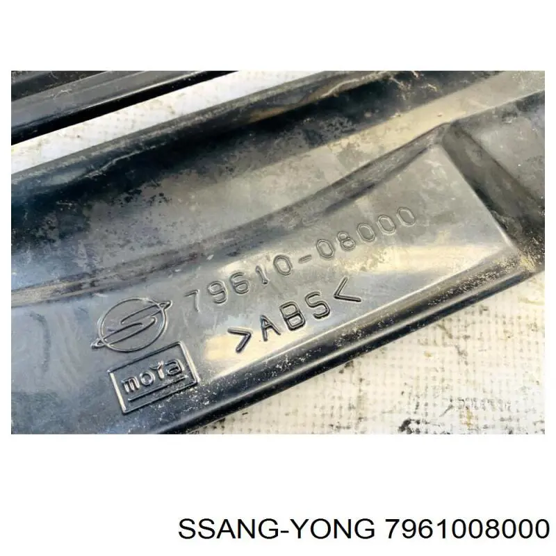 7961008000 Ssang Yong 