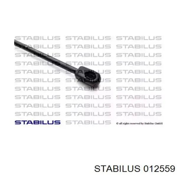 012559 Stabilus amortiguador de maletero