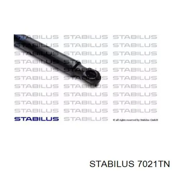 7021TN Stabilus muelle neumático, capó de motor