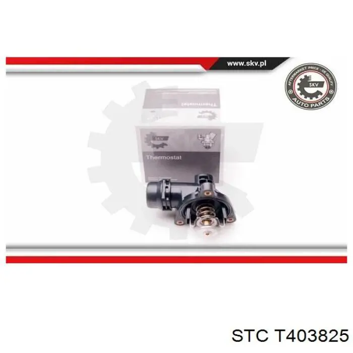 T403825 STC termostato, refrigerante