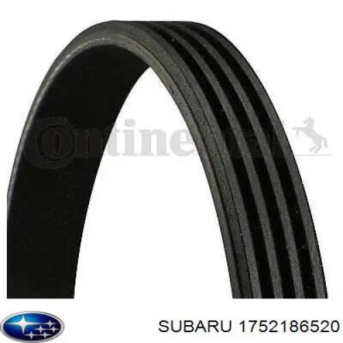 1752186520 Subaru correa trapezoidal