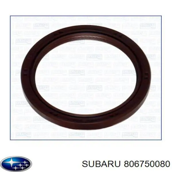 806750080 Subaru carril de deslizamiento, cadena de distribución izquierdo