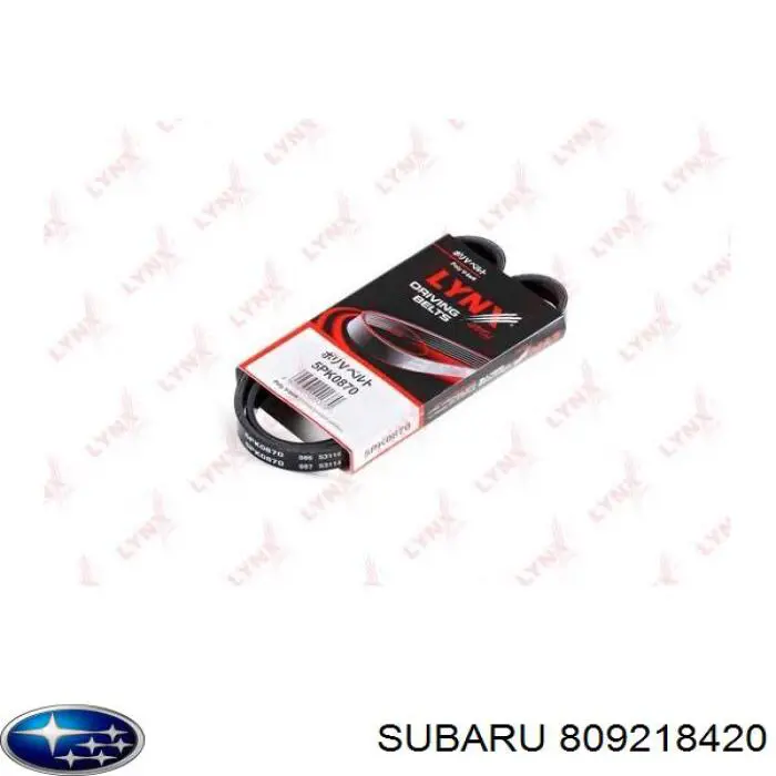 809218420 Subaru correa trapezoidal