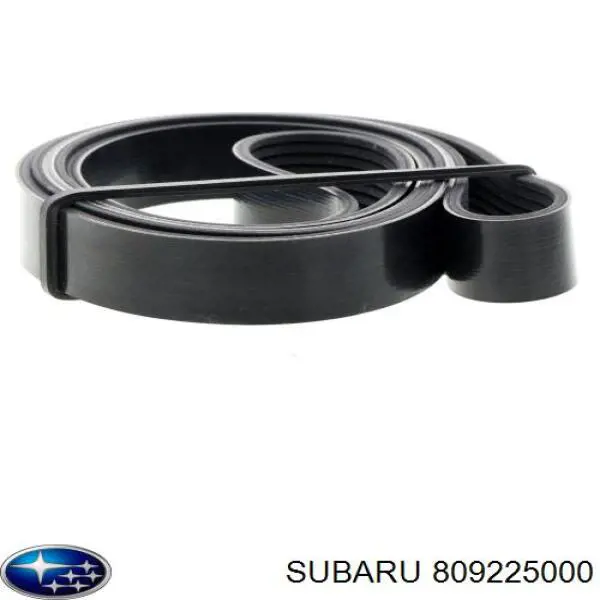 809225000 Subaru correa trapezoidal