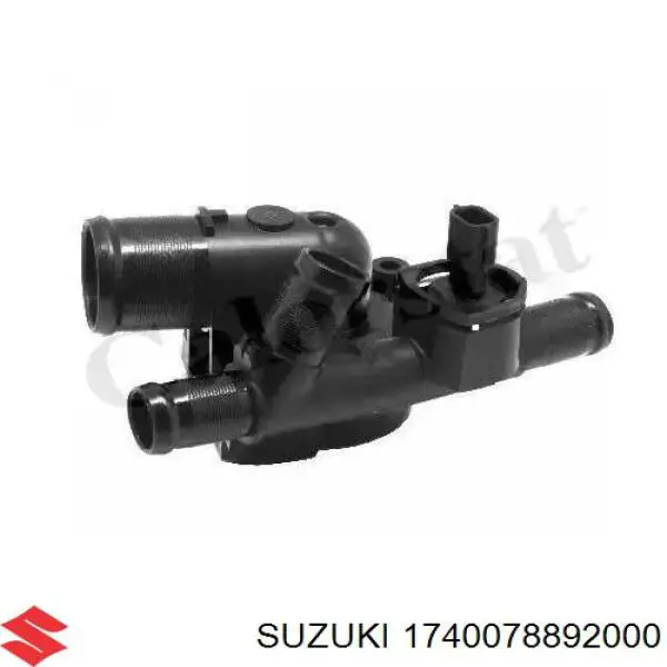 1740078892000 Suzuki bomba de agua