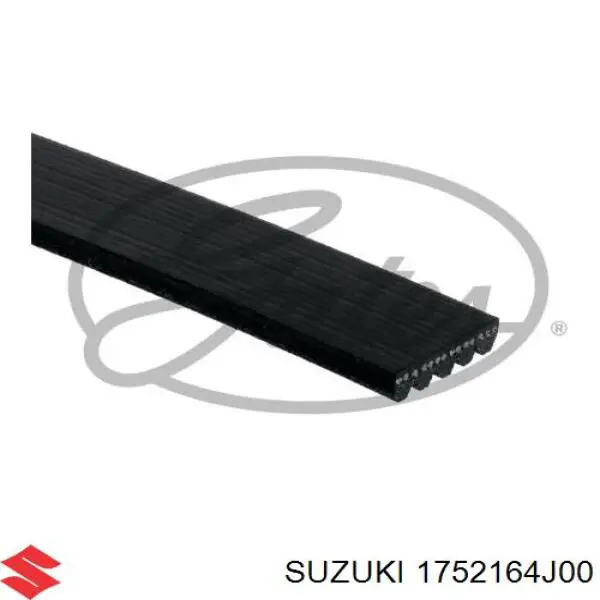 1752164J00 Suzuki correa trapezoidal