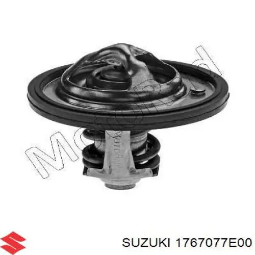 1767077E00 Suzuki termostato, refrigerante