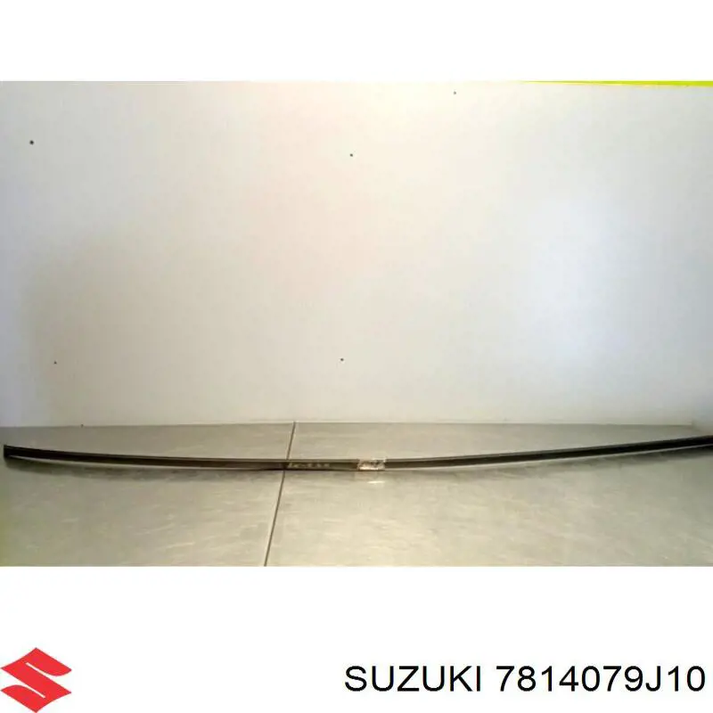 7814079J10 Suzuki 