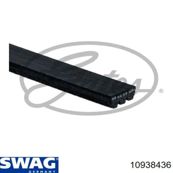 10938436 Swag correa trapezoidal