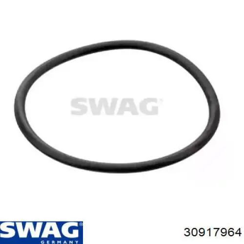 30917964 Swag junta, termostato