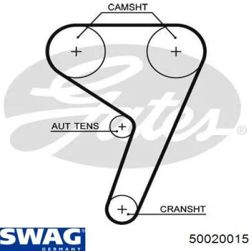 50020015 Swag correa distribucion