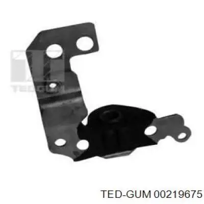 00219675 Ted-gum silentblock de suspensión delantero inferior