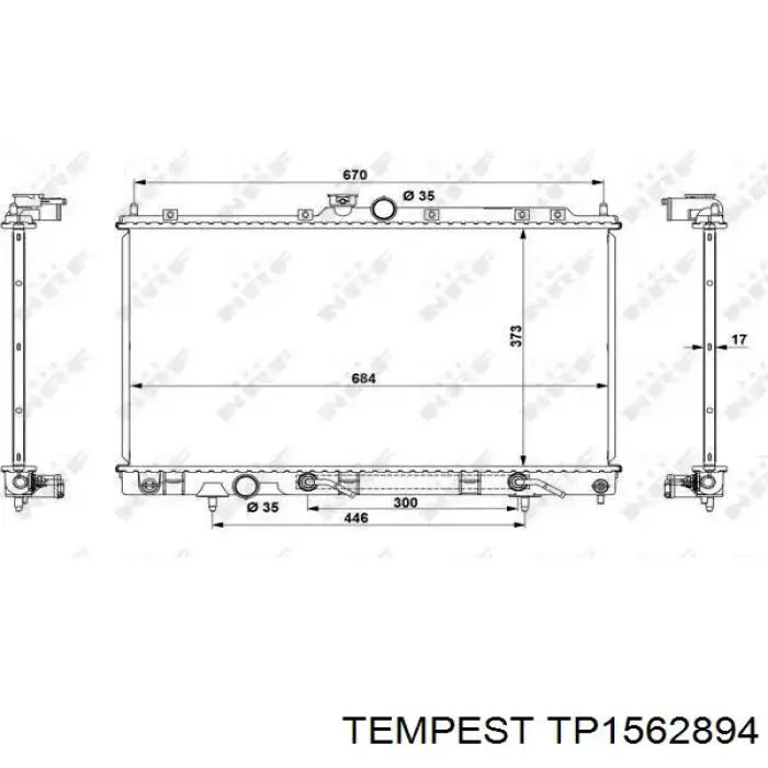 TP1562894 Tempest radiador refrigeración del motor