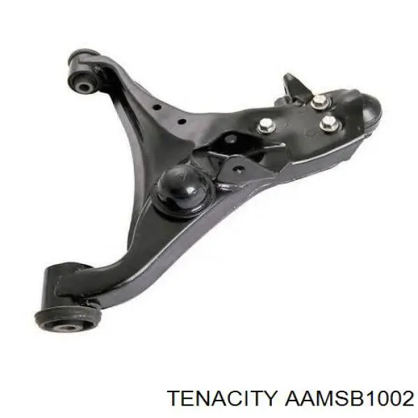 AAMSB1002 Tenacity silentblock de suspensión delantero inferior