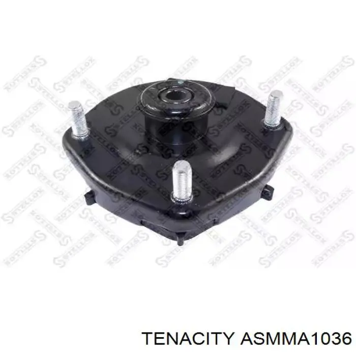 ASMMA1036 Tenacity 