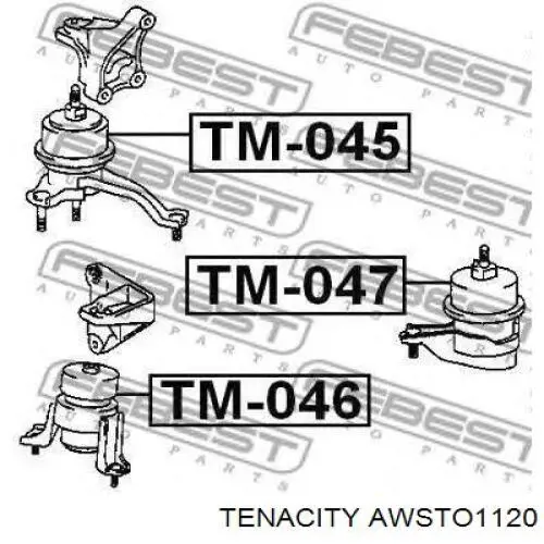 AWSTO1120 Tenacity soporte motor delantero