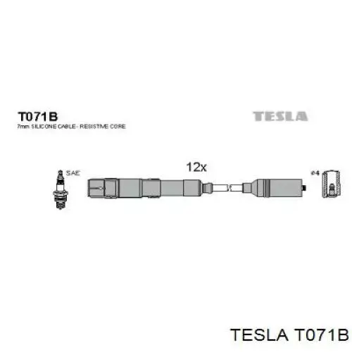 T071B Tesla juego de cables de encendido