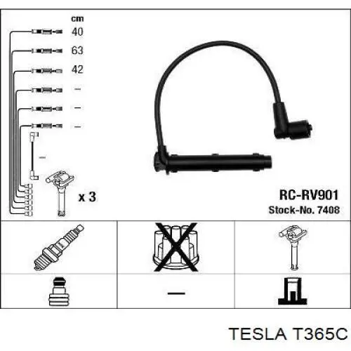 T365C Tesla 