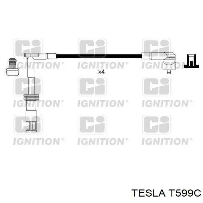 T599C Tesla 