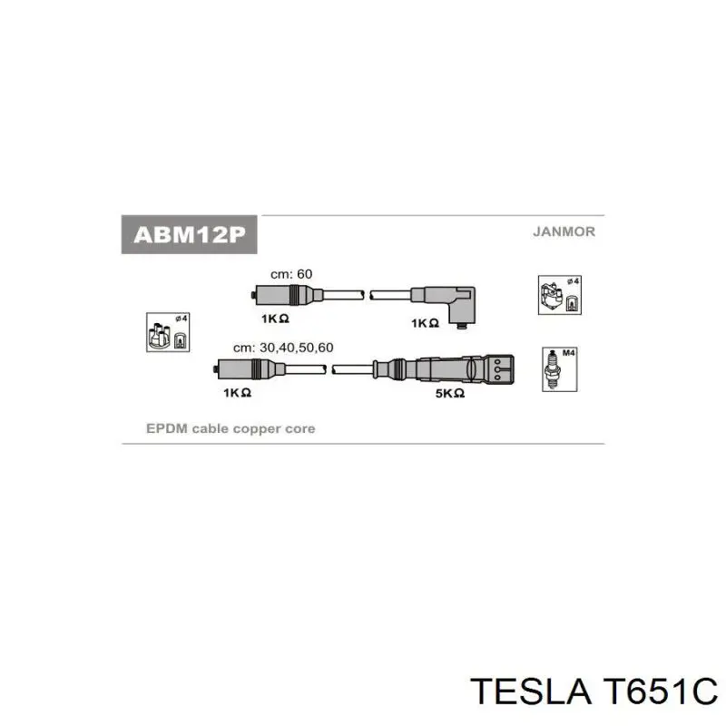 T651C Tesla juego de cables de encendido