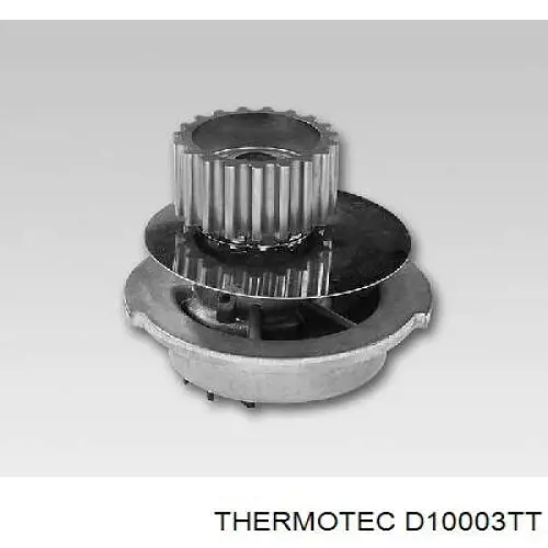 D10003TT Thermotec bomba de agua