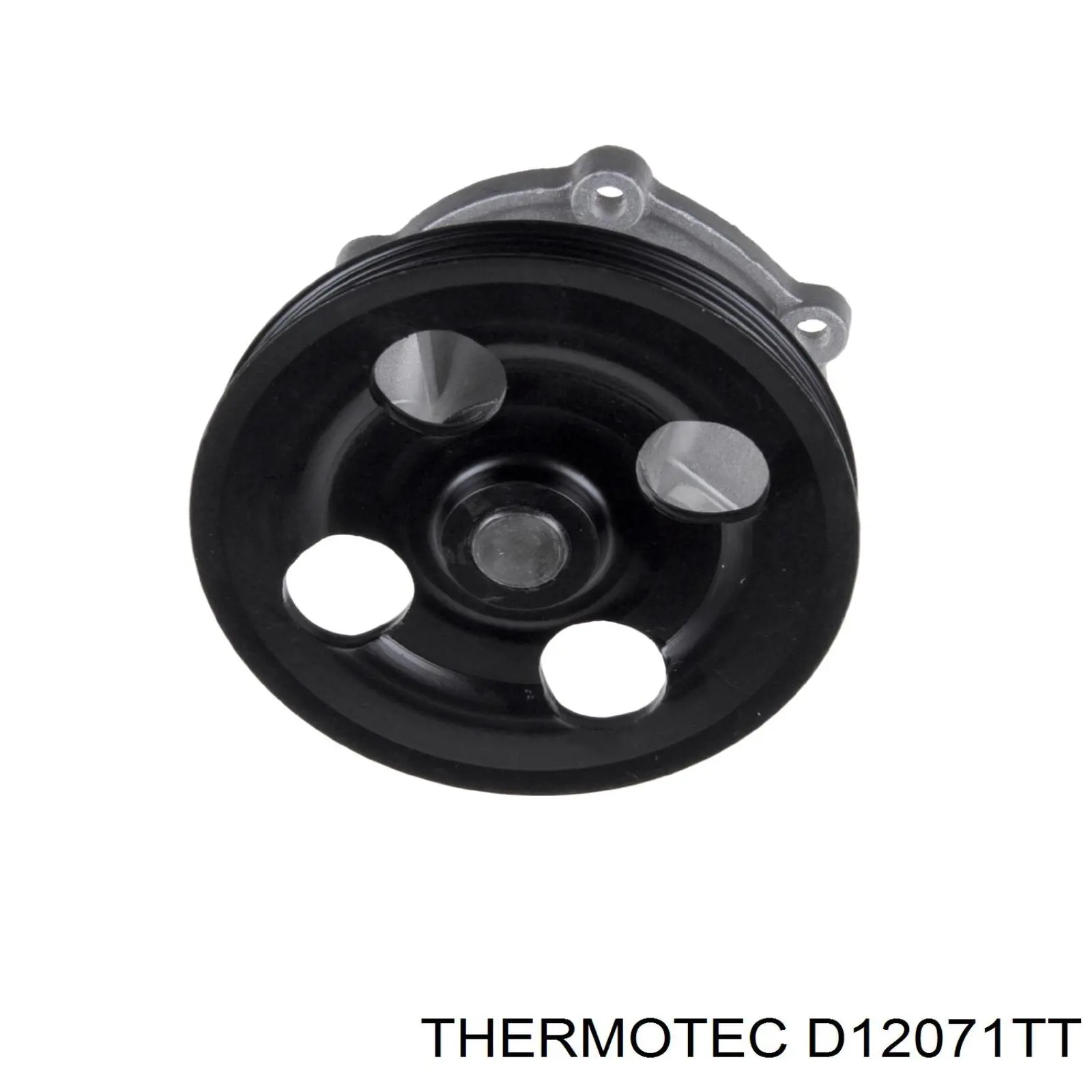 D12071TT Thermotec bomba de agua