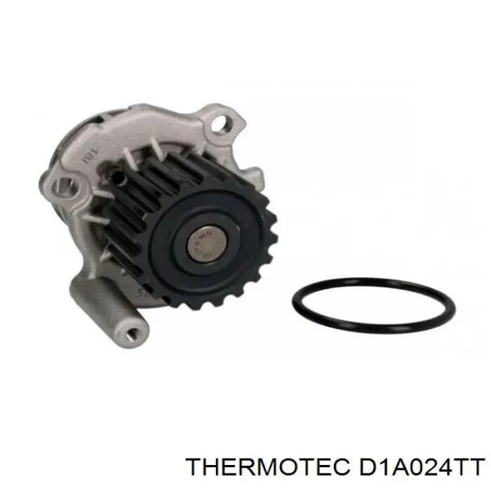 D1A024TT Thermotec bomba de agua