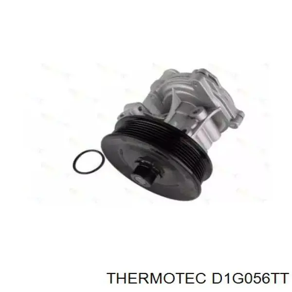 D1G056TT Thermotec bomba de agua